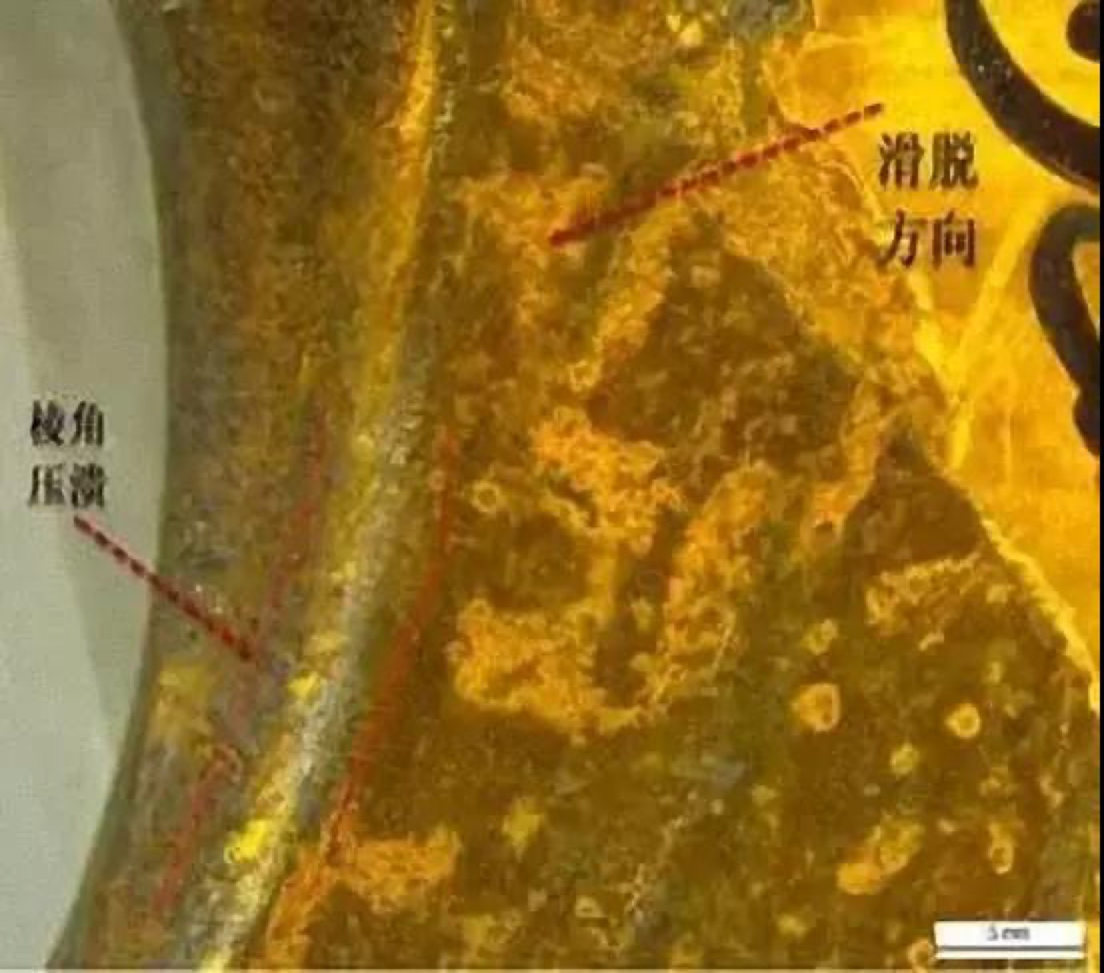 5adf3b3971313.jpg 微信图片_20180424132717.jpg